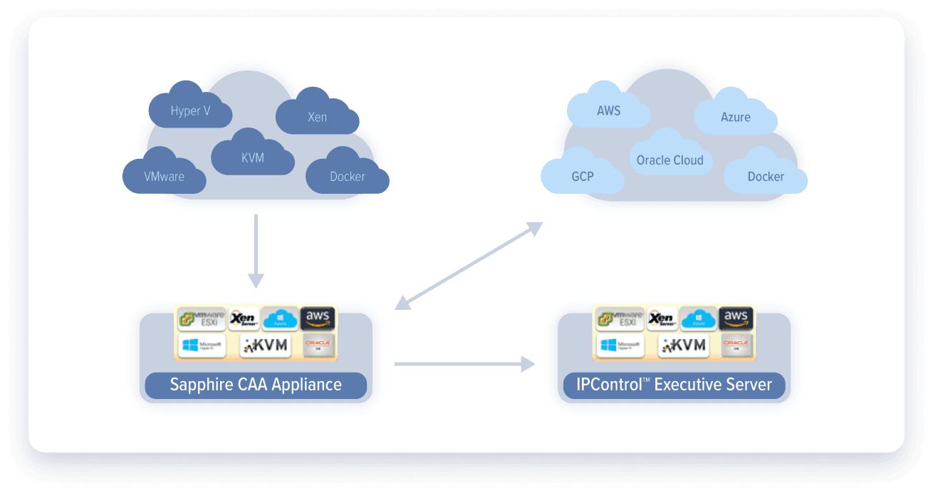 Cygna Diamond IP-Multi-Cloud Multi-Platform