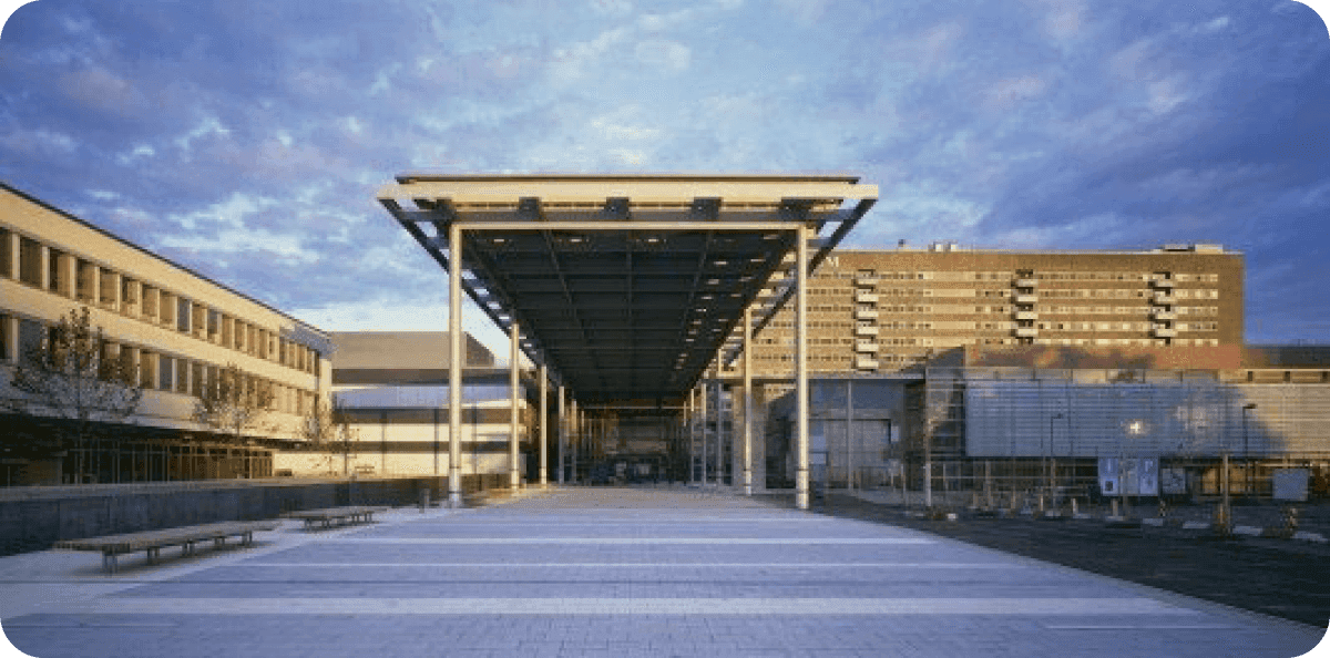 University in Frankfurt.